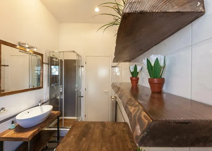 Boutique Domus Trastevere Vascellari Rome